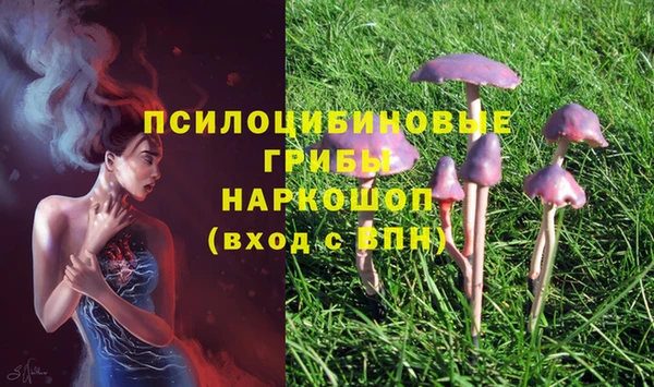 Альфа ПВП Балахна