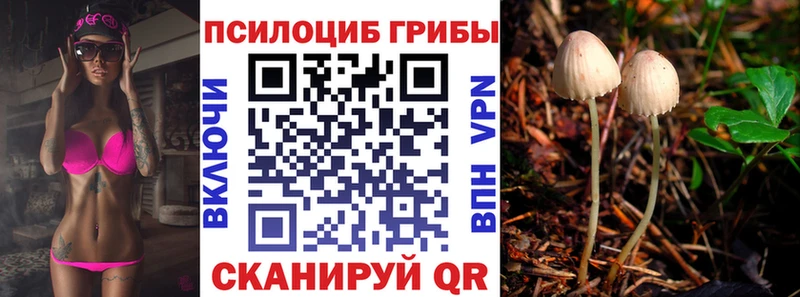 Псилоцибиновые грибы GOLDEN TEACHER  МЕГА зеркало  Озёры 